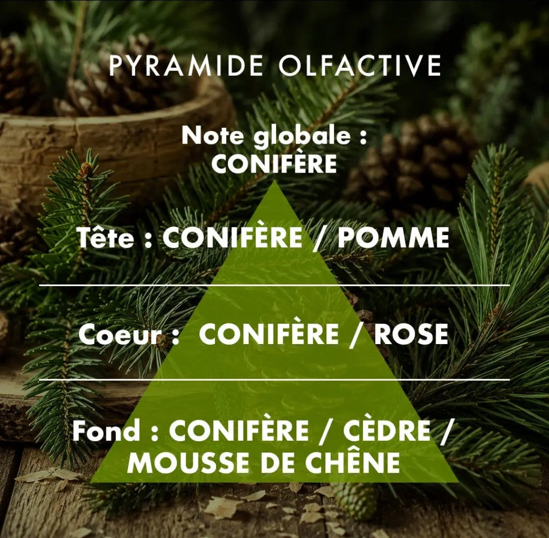 Brume ambiance Sapin